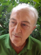 Rafael Pérez Ortolá 