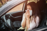 ​Así puede afectar la alergia primaveral a la conducción