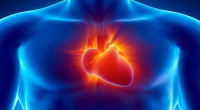Fundación Española del Corazón afirma que el 80 % de enfermedades cardiovasculares pueden prevenirse