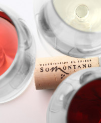 La DOP Somontano, en Gourmets 2025
