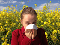 Los pediatras alergólogos advierten del riesgo de reacciones alérgicas en verano
