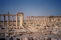 Palmira 