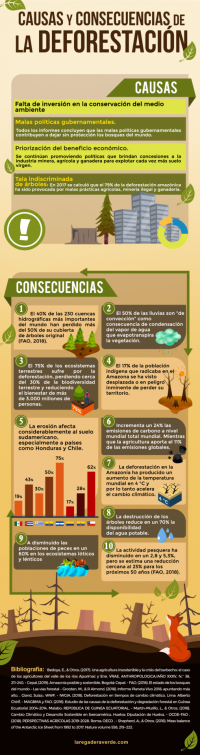 INFOGRAFÍA: Causas y consecuencias de la deforestación