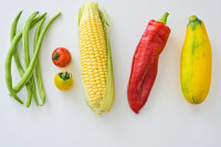 ​Cinco deficiencias que pueden afectar a la salud en la dieta vegetariana