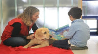 Terapia asistida con perros: salud a cuatro patas