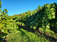 La Rioja, un viaje espectacular a la tierra del vino
