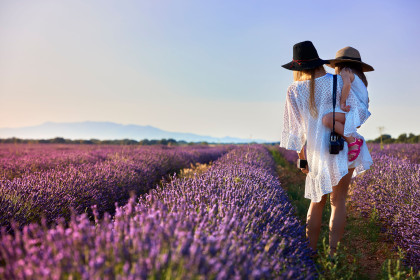 Brihuega y su Festival de la Lavanda. Un espectáculo de color y luz