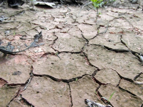 El cambio climático es el mayor problema mundial para la mitad de estudiantes españoles