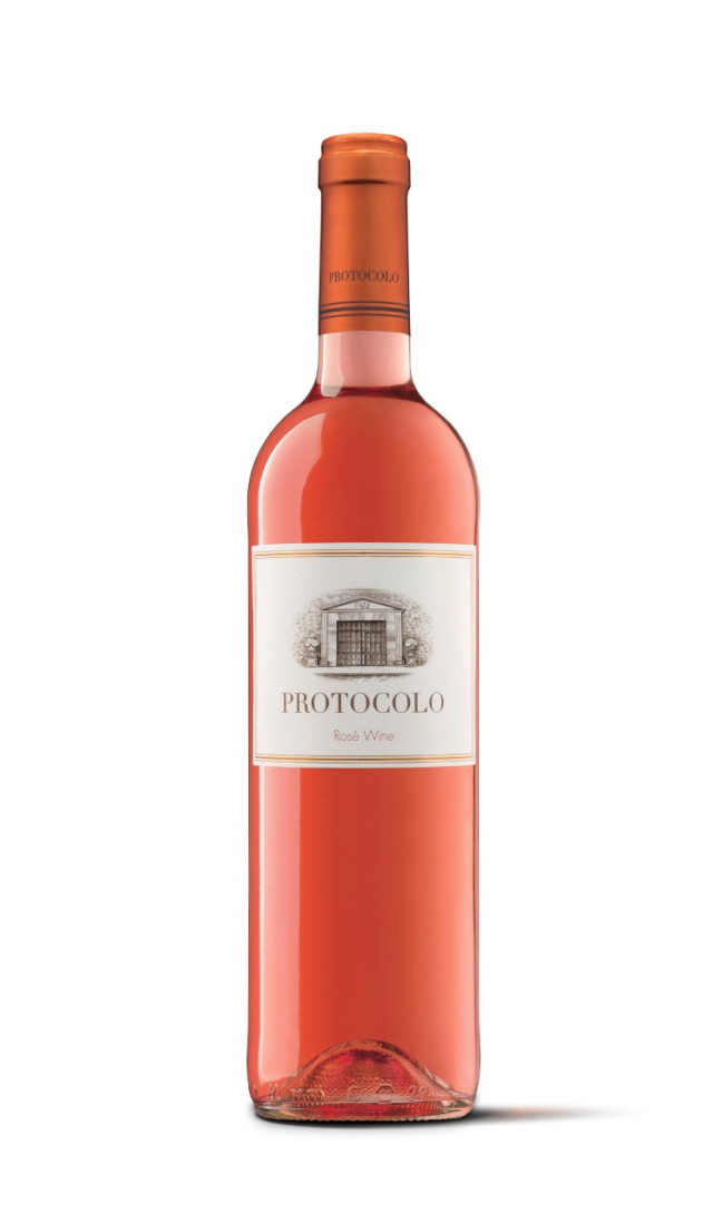 Protocolo20Rosado