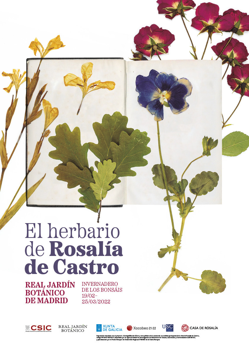 02b herbario rosalia cartel