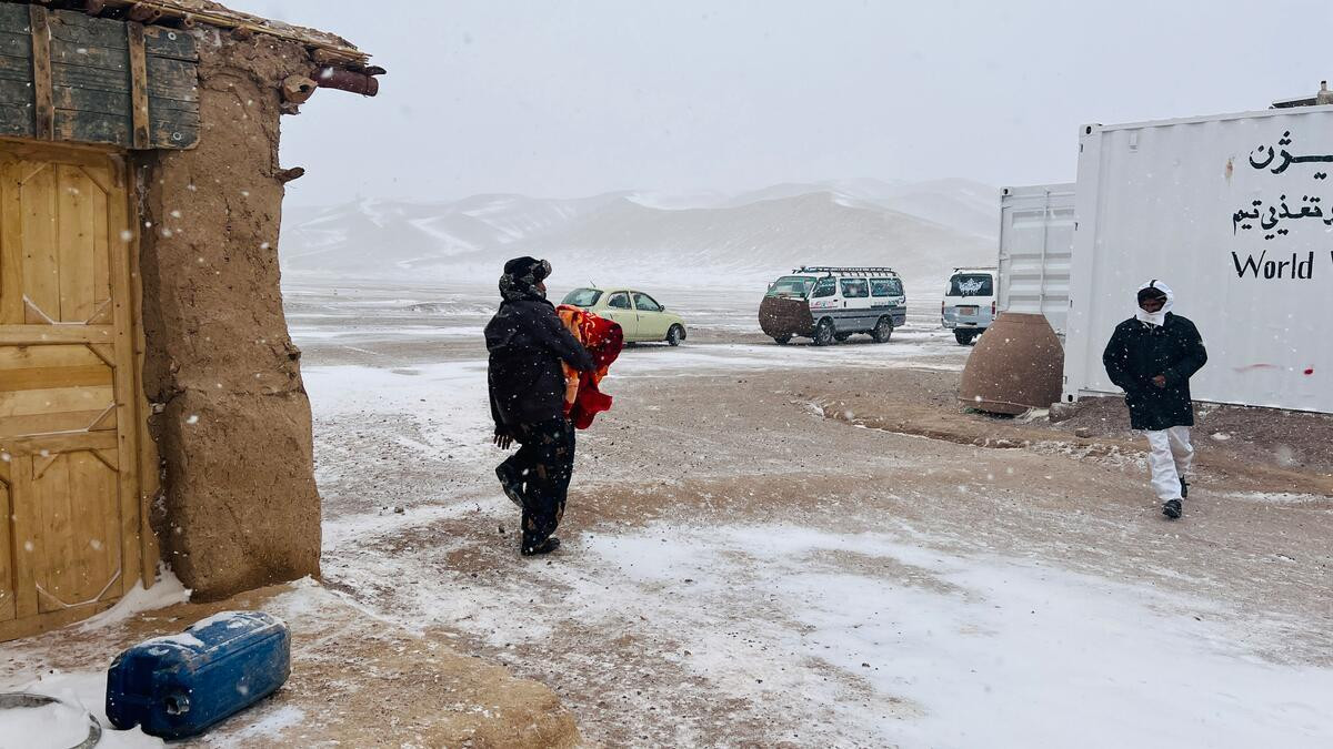 Respuesta al frío en el oeste de Afganistán 3