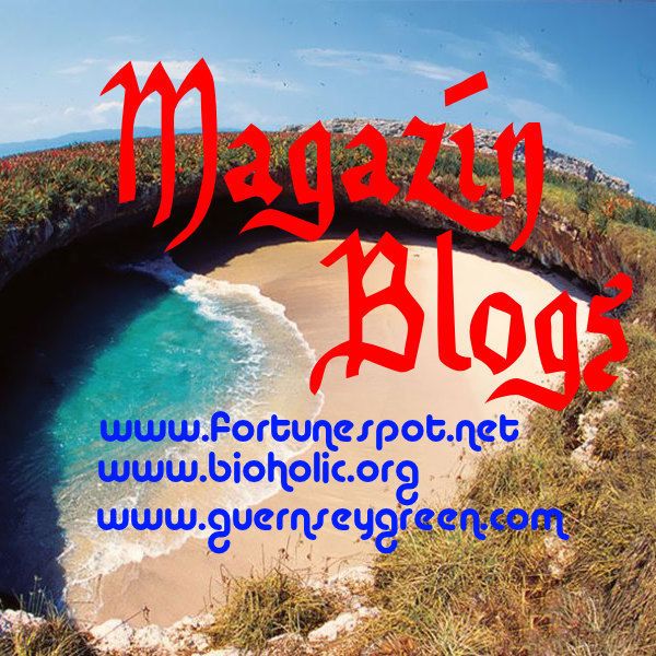 Tres recomendaciones de magazines con consejos promocionales y opciones de ocio