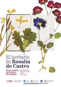 ‘Herbario de Rosalía’, una exposición que vincula la literatura y la botánica