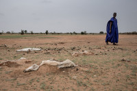 La tercera sequía en seis años deja sin alimentos a 245.000 personas en Senegal