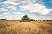 El plan de seguros agrarios, una esperanza para muchos agricultores