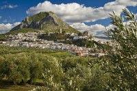 XXXVIII Fiesta de la Aceituna