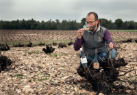 Cuatro Rayas, un referente de los vinos blancos en España