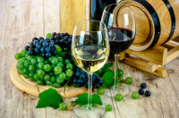 Los mejores vinos: una delicia para el paladar