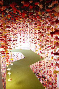 flores3_2