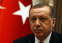 Erdogan pide a las organizaciones internacionales que sancionen a Países Bajos