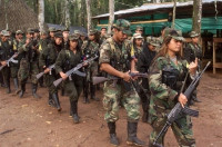 Las FARC confirman la entrega del 30% de las armas a la ONU