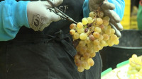 Las uvas de Nochevieja, de costumbre francesa a tradición española