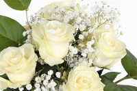 ​Rosas blancas, las flores de la diosa del amor