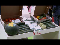 Frutas y hortalizas con desperfectos físicos y más baratas para reducir el desperdicio