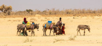 20 millones de personas están en riesgo de hambruna en el Cuerno de África
