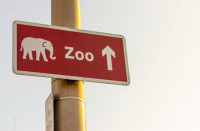 El lado oculto de los zoos