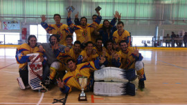 hockey, dismeva, campeon