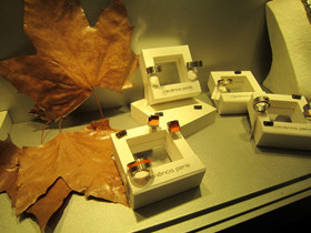 HOJASDEOTONOCONANILLOS