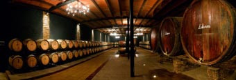 BodegasLalanne