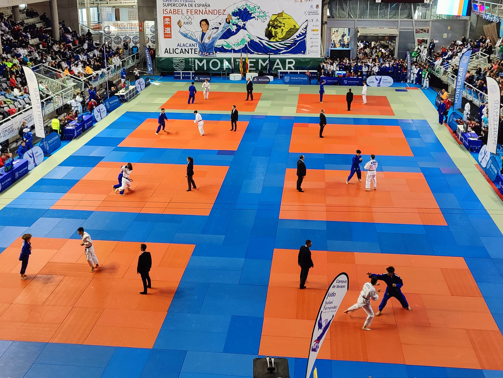  La fiesta del judo nacional cobra vida en Alicante 