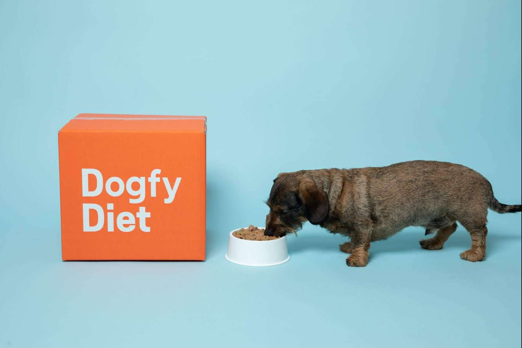  Dogfy Diet revoluciona la nutrición canina con soluciones naturales para la alimentación de perros 