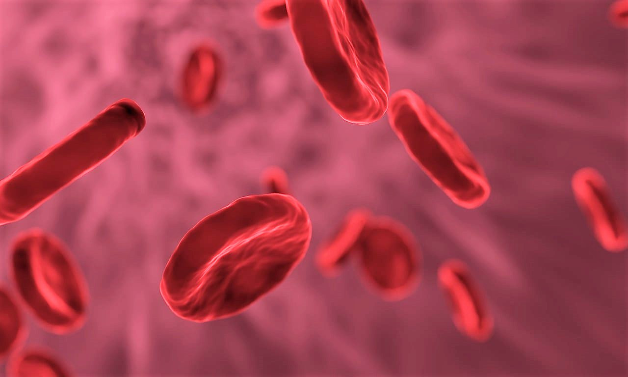  Tres de cada cuatro personas con hemofilia en España consideran llevar una vida activa y saludable 
