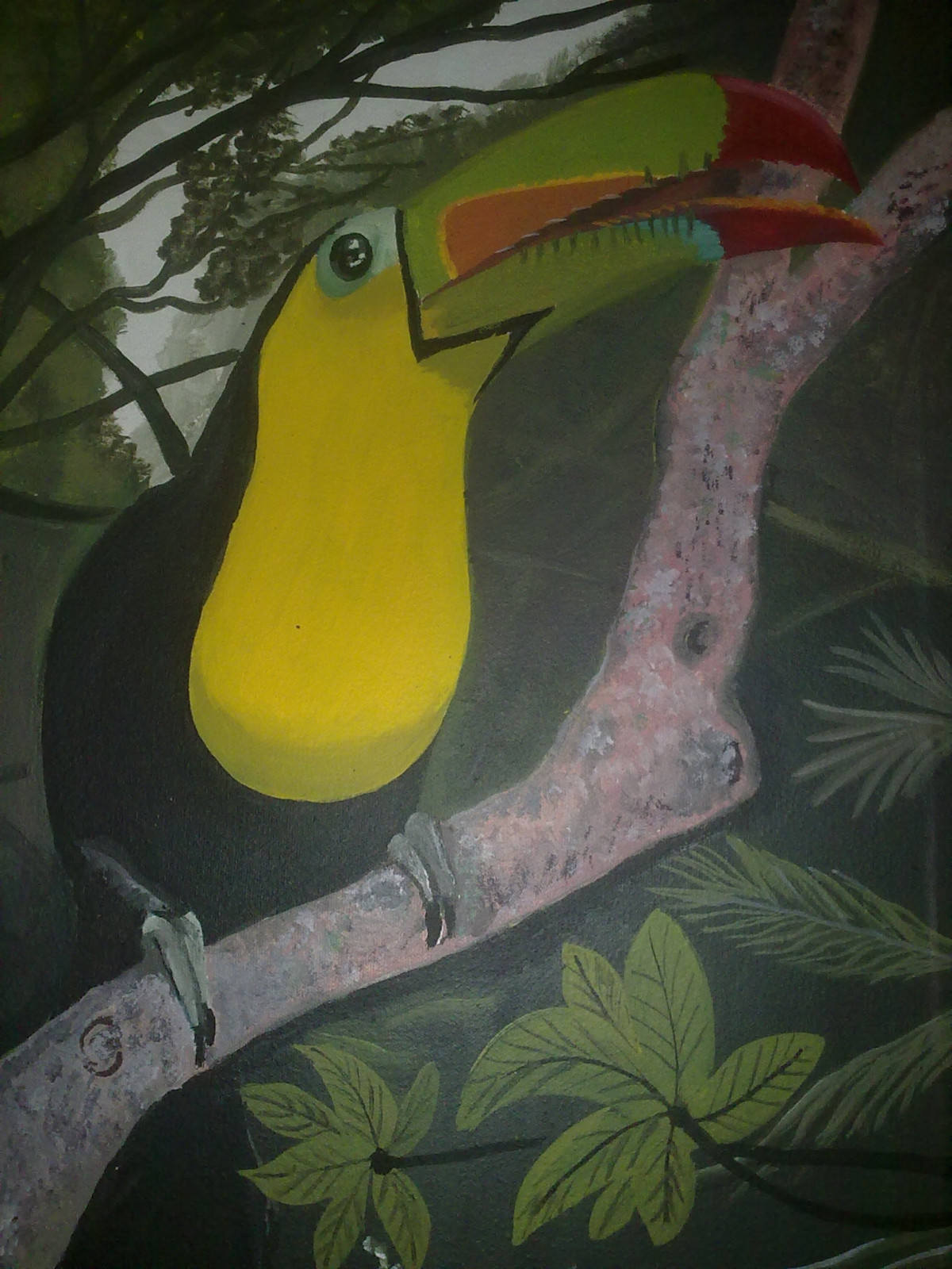 TUCAN 018