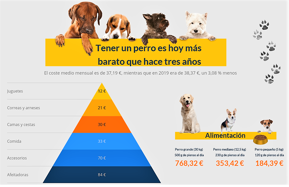 Datos Coste Medio Perros