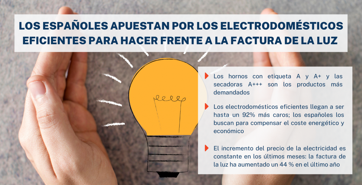 Gráfico Españoles se lanzan a por los electrodomésticos eficientes
