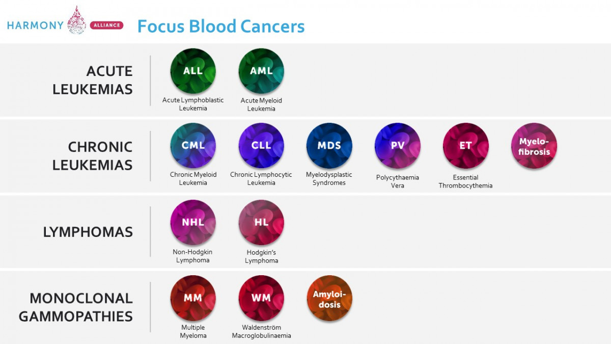 HARMONY Alliance Bloodcancers focus Feb2021
