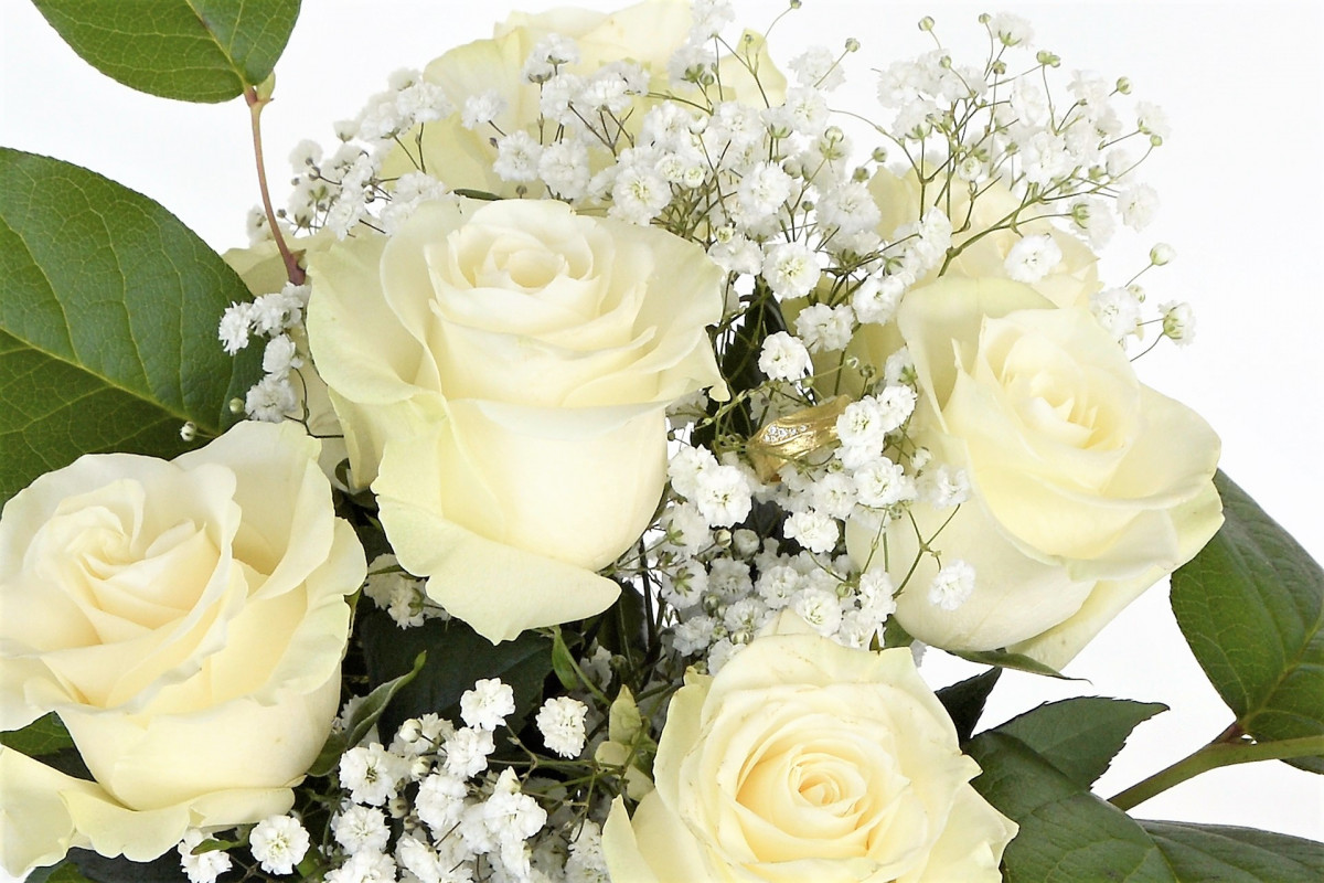 Roses 1420730 1920