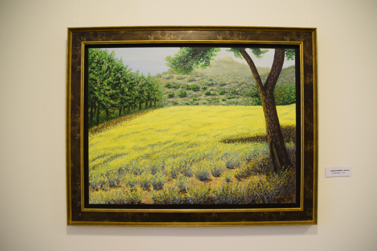 Obra de Jaime Viciano