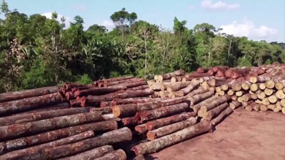 H13 deforestation amazon brazil