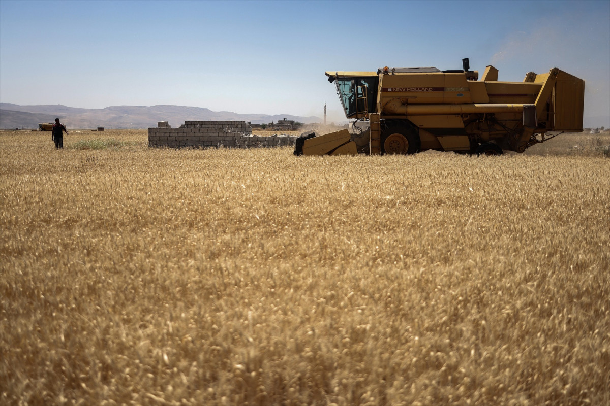 EuropaPress 4518197 11 june 2022 syria hama syrian men operate combine harvester at field