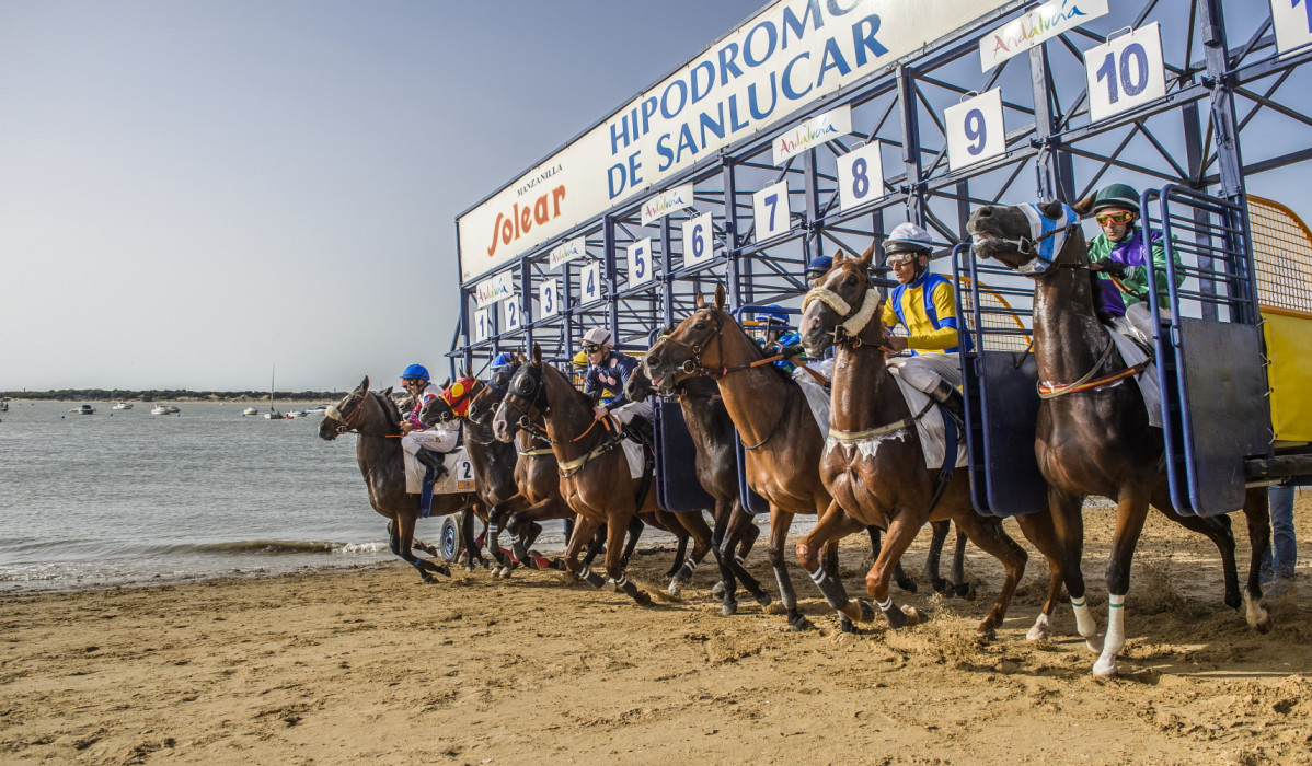 Carreras de Caballos de Sanlu00facar con Manzanilla Solear de Barbadillo