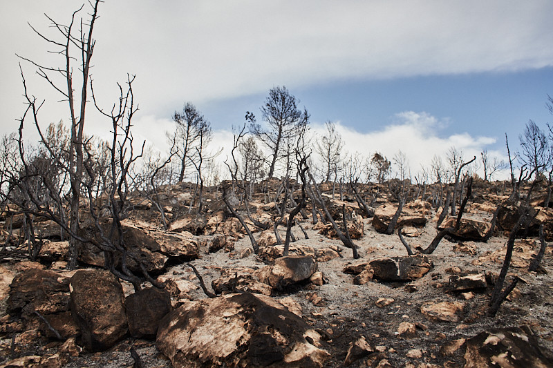 Incendio Bejis Miniatura