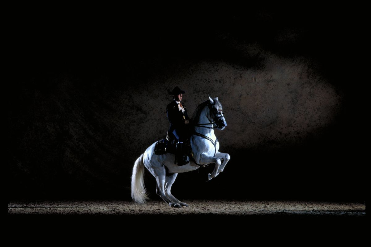 COMO BAILAN LOS CABALLOS ANDALUCES
