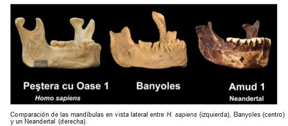 Banyoles Comparativa