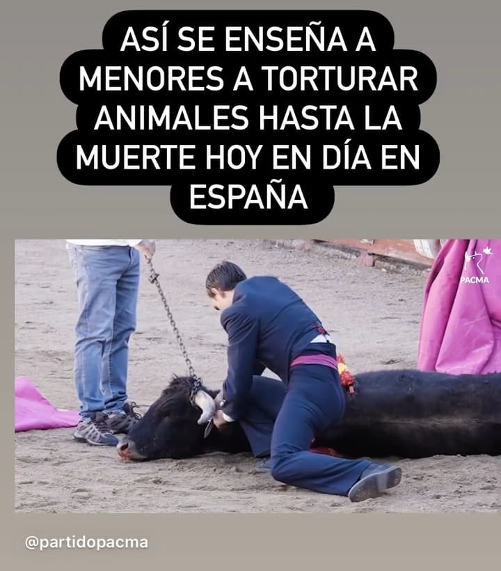 IMG 20221108 153214 553