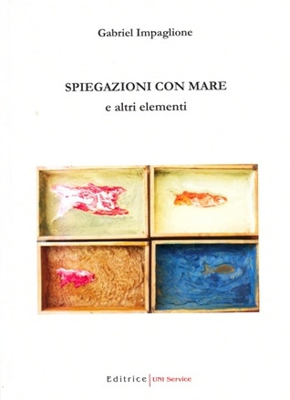 Libro Impaglione 9   Spiegazioni con mare e altri elementi